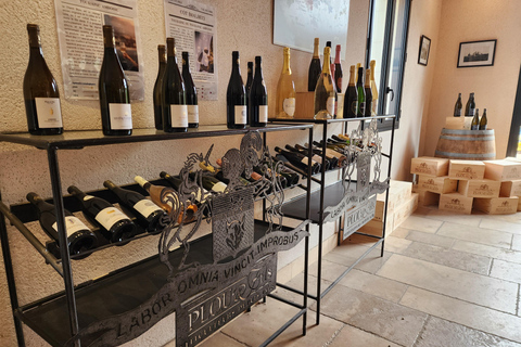 Loire Valley Wine Tour from Paris: 2 Wineries & 10 Tastings Premium Option