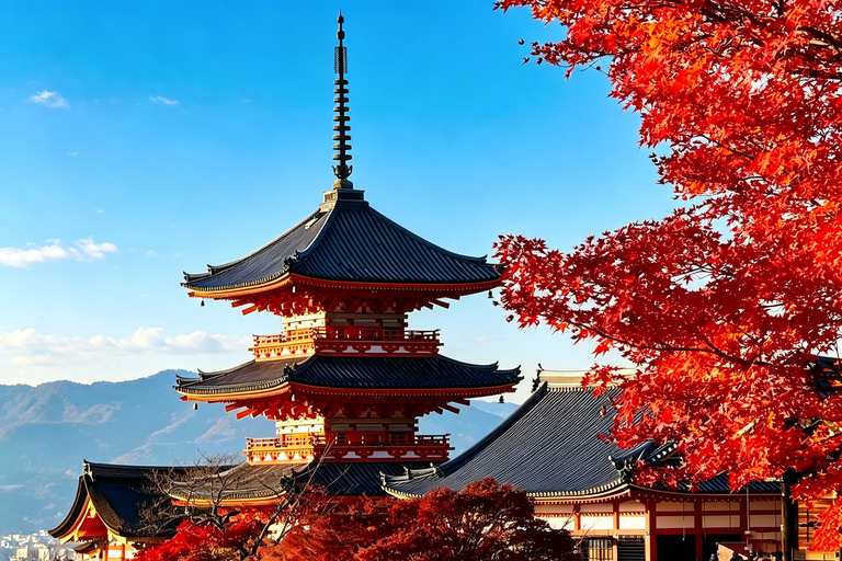 Osaka: Kiyomizu, Fushimi Inari, Nara & Gion Private Sightseeing Tours