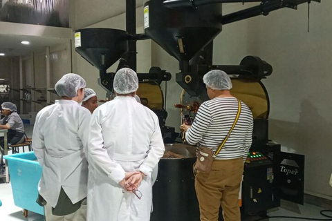 Addis Ababa: Coffee from Bean to Cup Experience