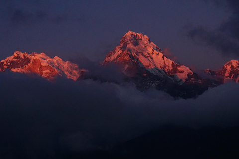 Annapurna: 8 Day Guided easy Trek at Annapurna