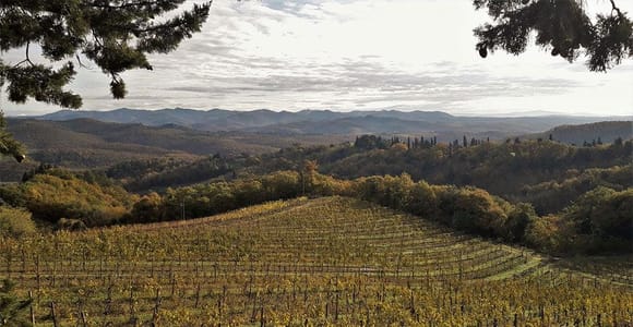 Vagliagli: Fattoria della Aiola Guided Wine Tour and Tasting
