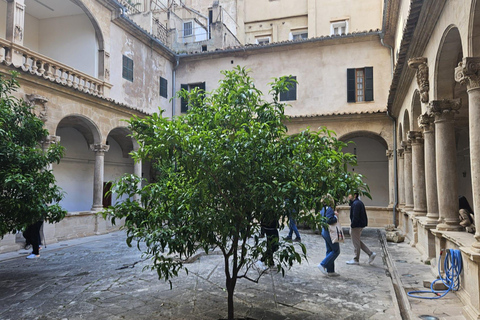 Palma: Old Town Guided Tour with Cathedral Skip-the-Line