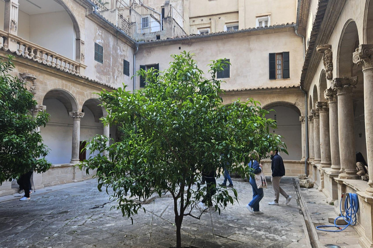 Palma: Old Town Guided Tour with Cathedral Skip-the-Line