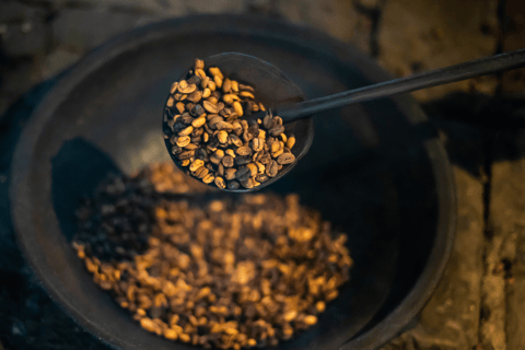 Bali: Ubud Rice Terraces, Monkey Forest & Waterfall Tour Full Package: All entry fees & lunch included