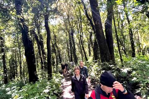 Chiang Mai: esperienza di trekking con pernottamento in evidenza