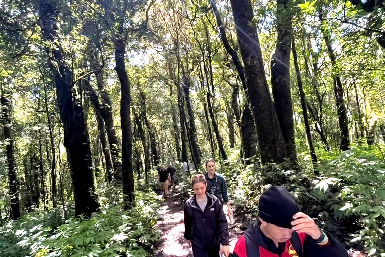 Chiang Mai: esperienza di trekking con pernottamento in evidenza