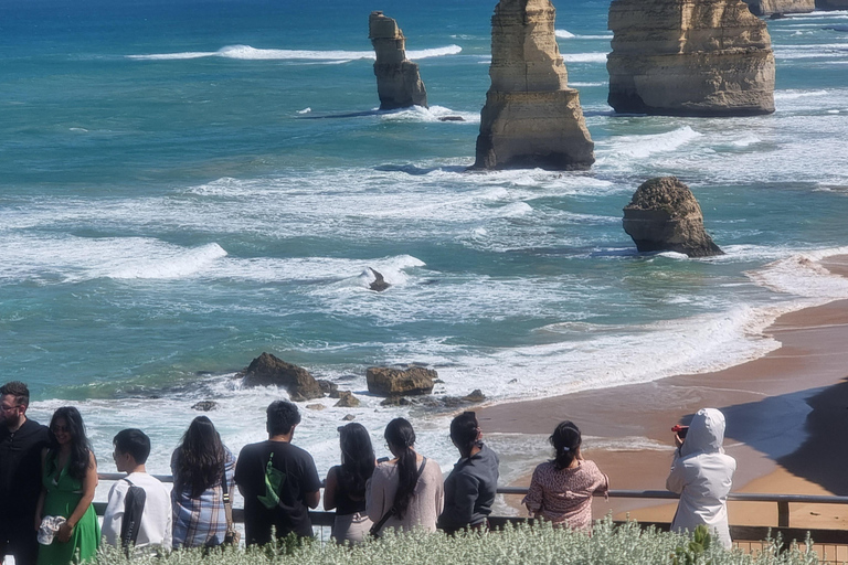 Great Ocean Road Premium Tour - Max 11 Passengers Premium Great Ocean Road Tour - up to 11 REVERSE