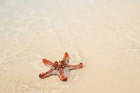Zanzibar: Blue Lagoon Snorkeling & Sandbank Tour with BBQ Blue Lagoon Snorkeling & Sandbank Tour without Transfer