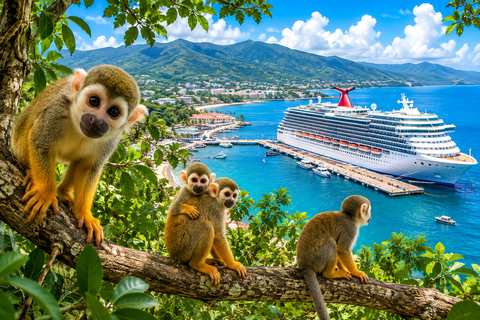 Puerto Plata: Exclusive Monkey Tour for Cruise Passengers