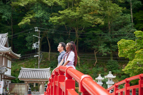 Osaka: Tour privado de esgrima - Entrenado por un gran maestro