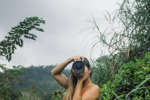Kandy: Nuwara Eliya, Ambewela Drop Tour & Ella Train journey Kandy: Nuwara Eliya, Ambewela Drop Tour by car or van