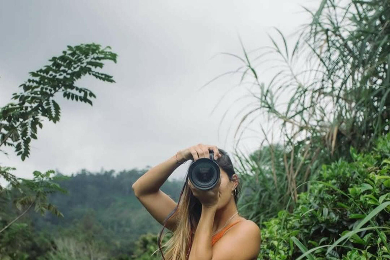 Kandy: Nuwara Eliya, Ambewela Drop Tour & Ella Train journey Kandy: Nuwara Eliya, Ambewela Drop Tour by car or van