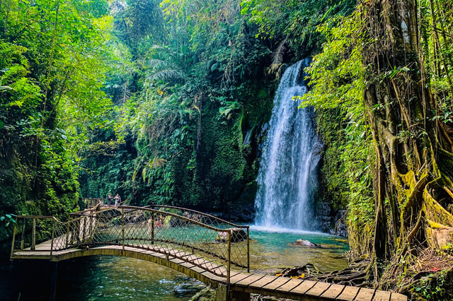 Ubud: Private Monkey Forest, Rice Terrace & Waterfall Tour