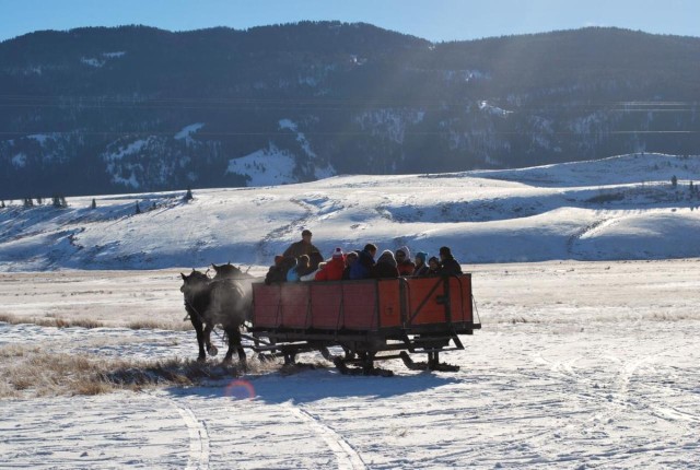 Visit Jackson National Elk Refuge Sleigh Ride in Jackson, Wyoming