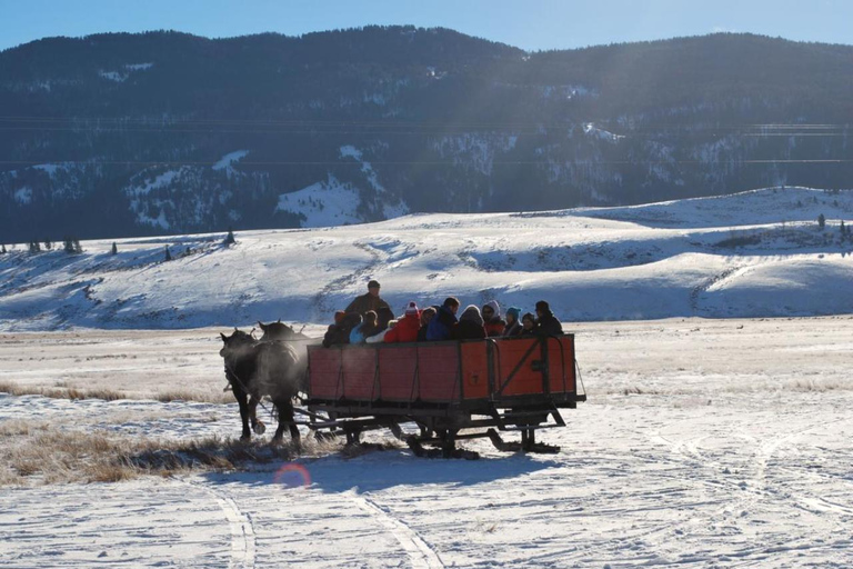 Jackson Hole: National Elk Refuge Sleigh Ride