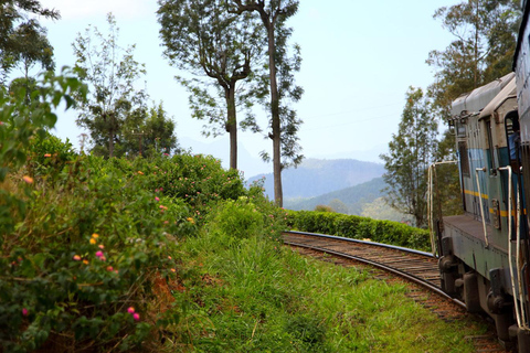 Ambewela to Ella: Scenic Train Ride for Photography Lovers Ambewela to Ella: Scenic Train Ride in 3rd Class cabin