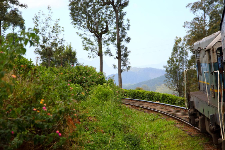 Ambewela to Ella: Scenic Train Ride for Photography Lovers Ambewela to Ella: Scenic Train Ride in 3rd Class cabin