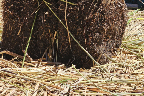 2-Day Tour from Puno: Uros, Amantani, and Taquile Islands