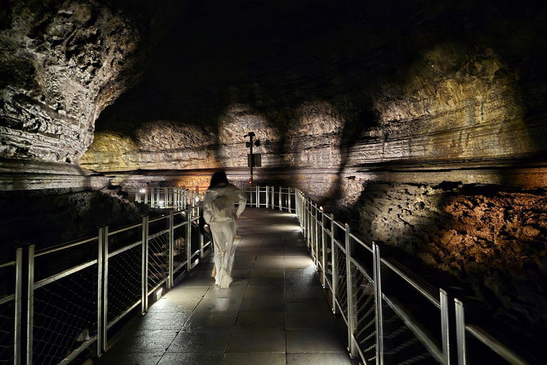 Jeju: UNESCO South & East Highlights 2 Days Combo Tour
