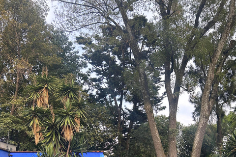 Mexico City: Entrance Ticket to the Frida Kahlo Museum