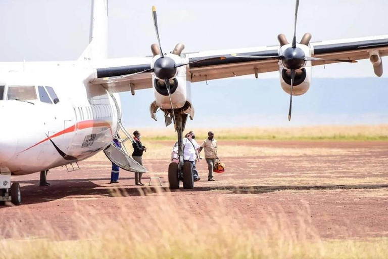 Nairobi: 3-Day Fly-In Private Maasai Mara Safari Experince
