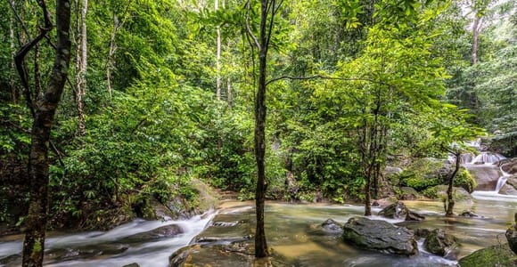 HIking Hin Phoeng Waterfall and Hot Springs Tour with Lunch