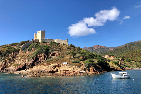 Au départ de Sagone/Cargèse : Tour en bateau de Scandola, Piana et GirolataDe Cargèse : Scandola Girolata Calanques Piana