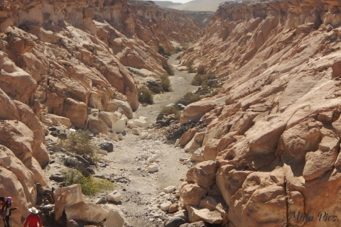 From Arequipa |Tour of the Sillar Route + Culebrillas Canyon