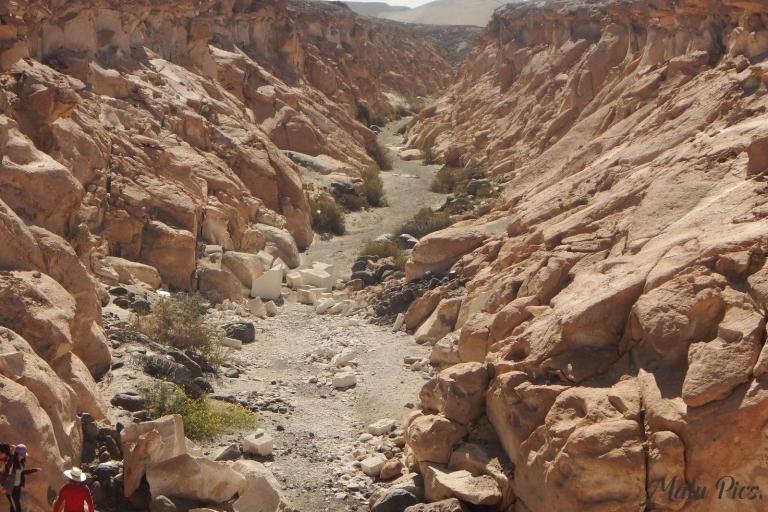 Z Arequipy | Wycieczka szlakiem Sillar + Kanion Culebrillas