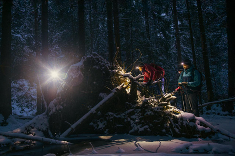 Oslo Forest: Mystery Nocturne Walk with Headlamps