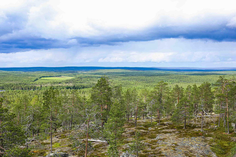 Rovaniemi: Korouoma Canyon and Auttiköngäs Falls Tour