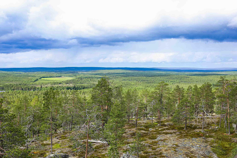 Rovaniemi: Korouoma Canyon and Auttiköngäs Falls Tour