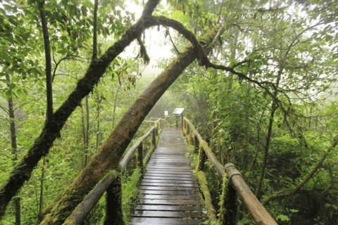 Chiang Mai: Pro Private Driver Service with Custom Itinerary