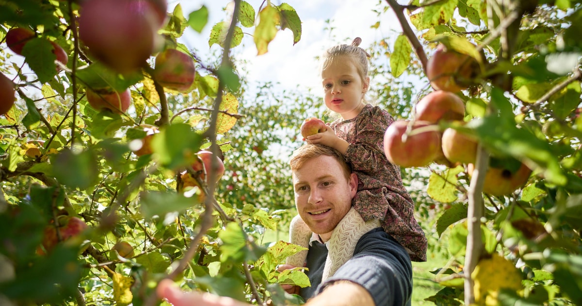 From Melbourne: Fruit-Picking & Puffing Billy 1-Day Tour | GetYourGuide