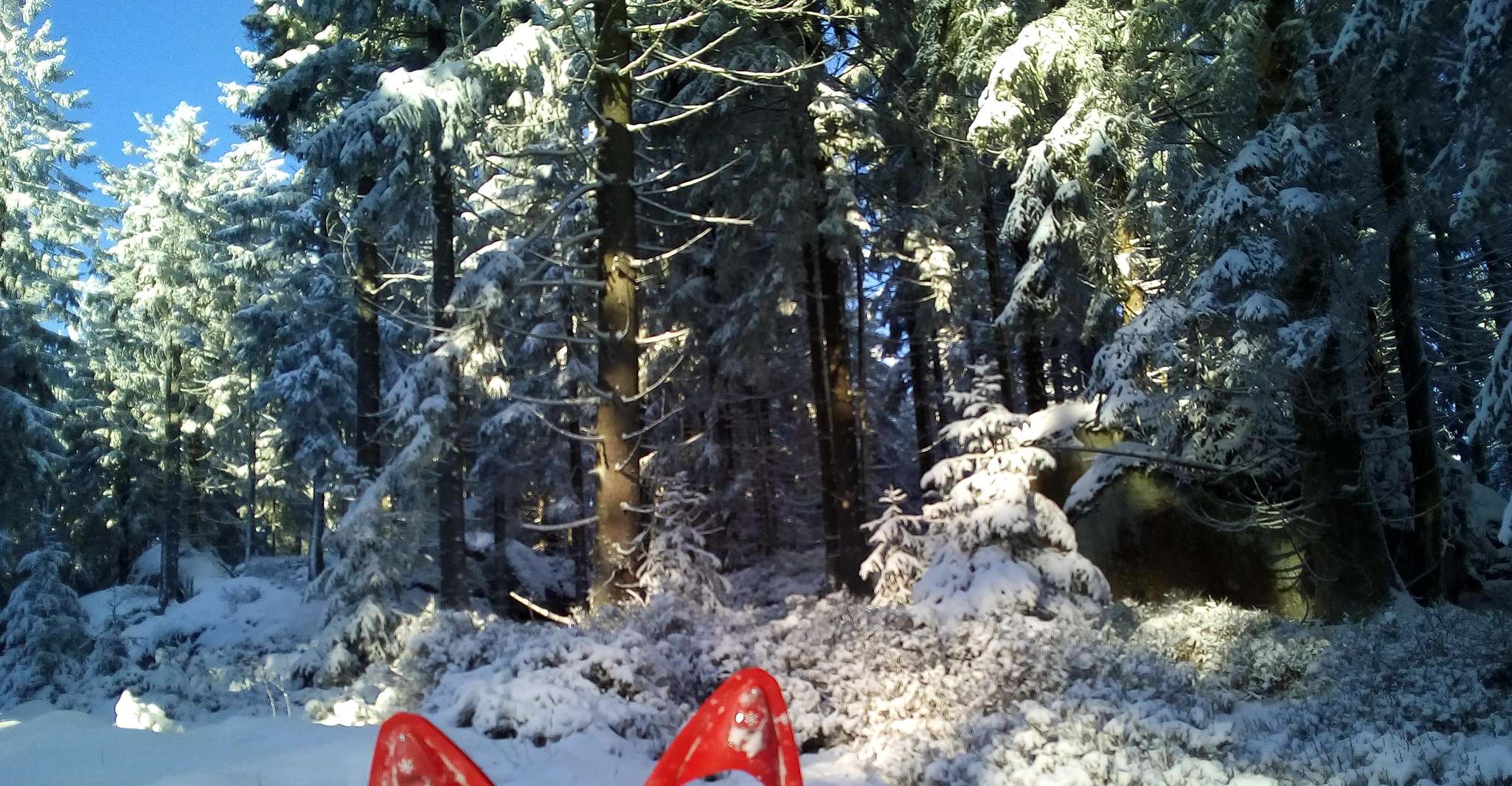 fichtelgebirge、スノーシューハイキング - Hizvo