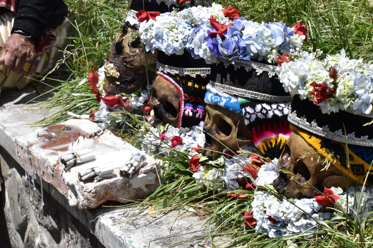 La Paz: Tag der Seelen – Friedhofstour mit EisDie Seelen kehren zurück: Friedhofstour mit Eis