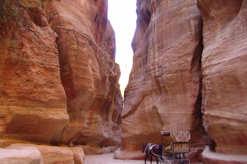 From Amman:Petra, Wadi Rum, and Dead Sea Private 2-Days Trip Transportation & Accommodation