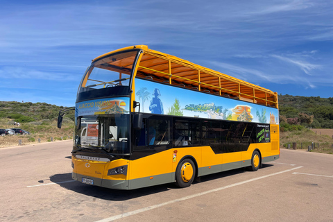 Ajaccio Sightseeing Tour