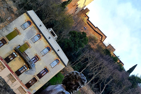 Arte urbano y visita a las cuevas de Granada