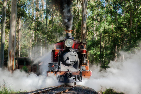 Melbourne Puffing Billy &amp; Penguins Day Tour