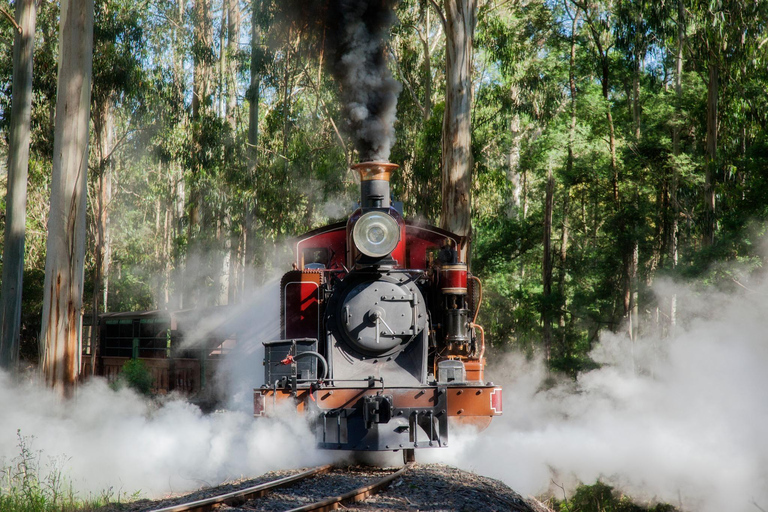 Melbourne Puffing Billy &amp; Penguins Day Tour