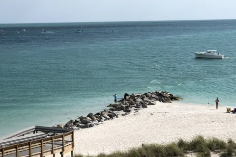 Punta Gorda: Boca Grande Pass Eco Boat Tour
