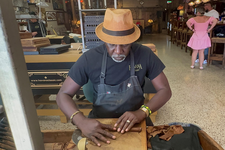 Miami Sightseeing Cruise & City Tour plus water Shuttle South Beach Start at 11:30am