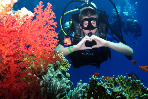 Hurghada: Intro Diving & Snorkeling Tour with Lunch & Drinks Hurghada: Introduction dive & Snorkeling Cruise with Lunch