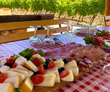 From Dubrovnik: Half-Day Wine Tasting and Cavtat City Tour