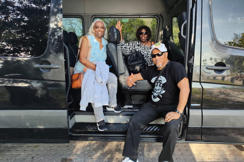 Miami: Best of Miami in One Day Tour