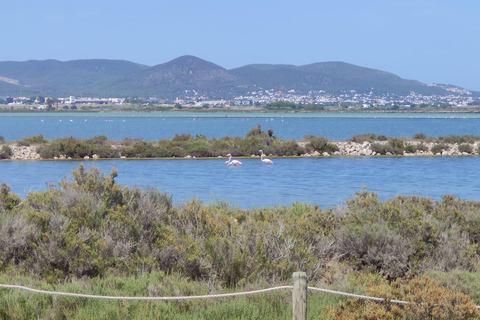 Ibiza : Les lits de sel, Es Vedra et le temps et l&#039;espace visite d&#039;une demi-journéeIbiza : Les lits de sel, Es Vedera et le temps et l&#039;espace visite d&#039;une demi-journée