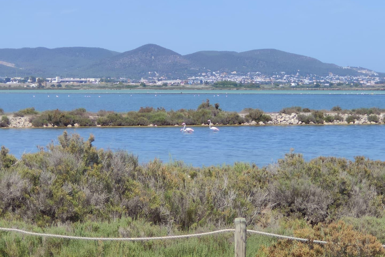 Ibiza : Les lits de sel, Es Vedra et le temps et l&#039;espace visite d&#039;une demi-journéeIbiza : Les lits de sel, Es Vedera et le temps et l&#039;espace visite d&#039;une demi-journée