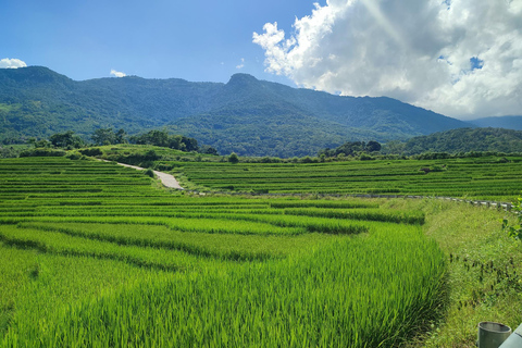 Mai Chau: Scenic Pass, Cycling & Thai Village Discovery Group Tour