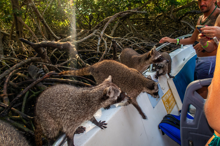 Cartagena: Rosario Islands by Catamaran with Snorkeling, Buffet, and Open Bar Rosario Islands by Catamaran with Snorkeling, Buffet, and Open Bar